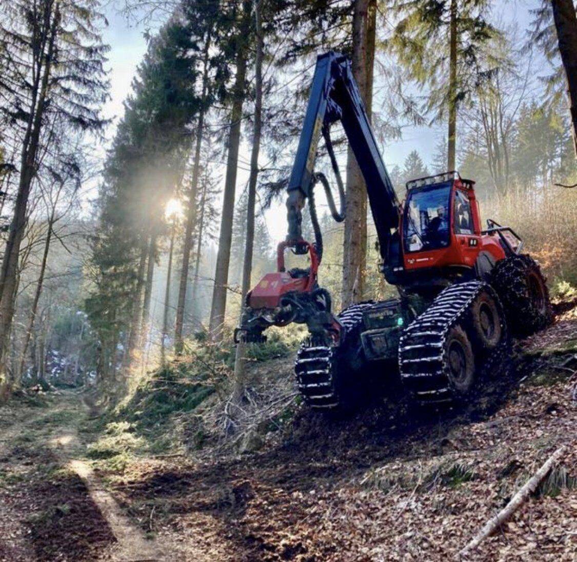 Harvester im Bestand